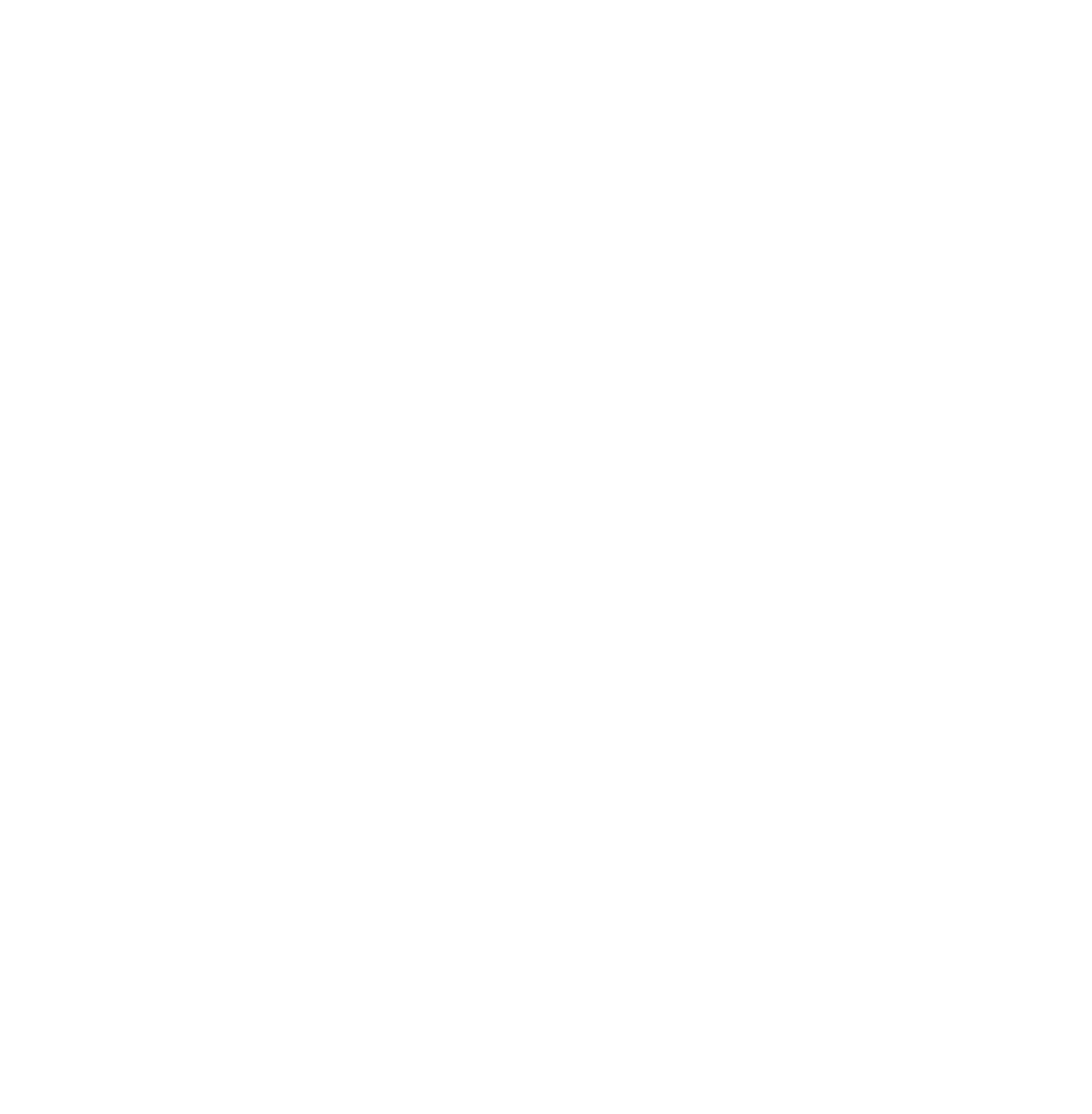 VitalRenew logo