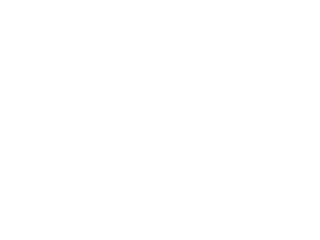 white logo copy