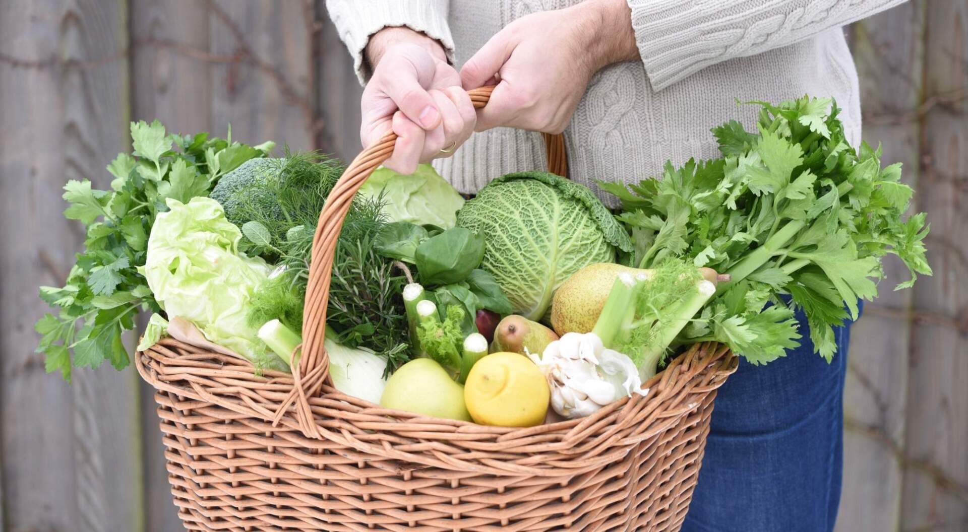 low carb diet for pcos