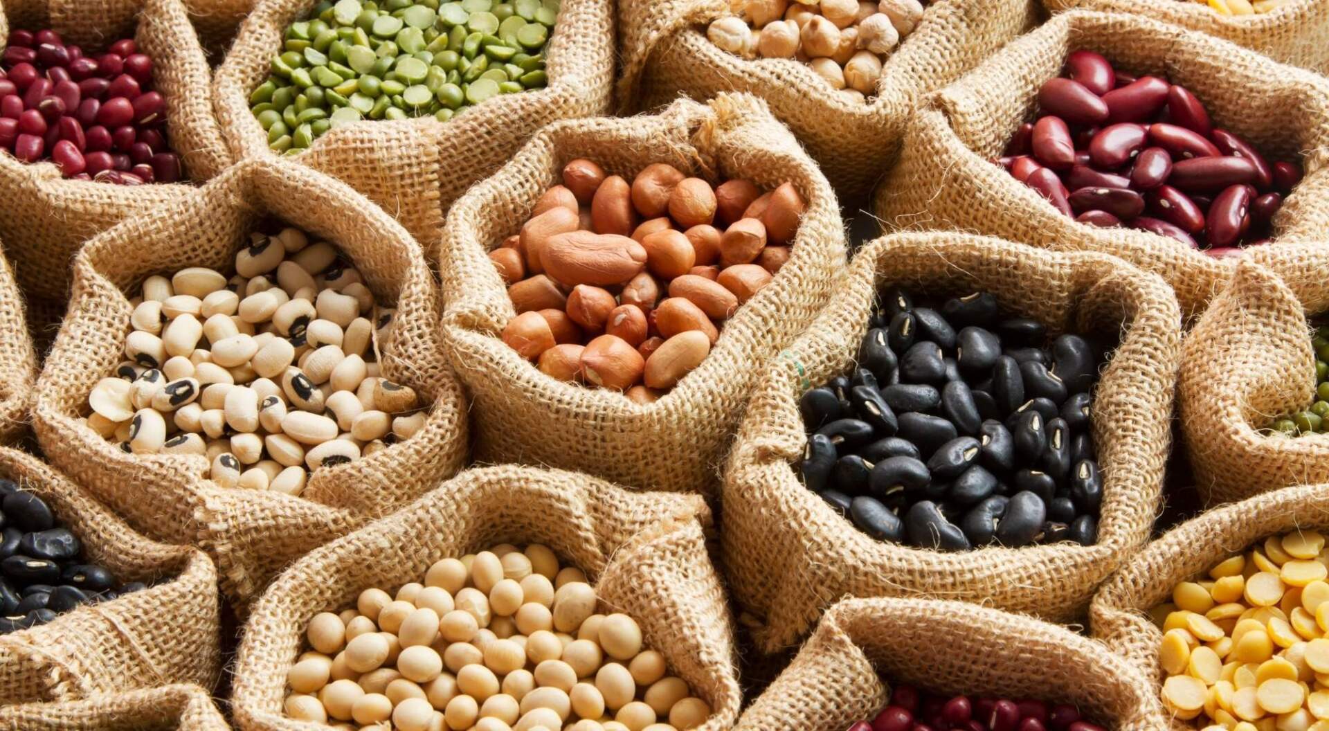 irritable bowel syndrome foods that help