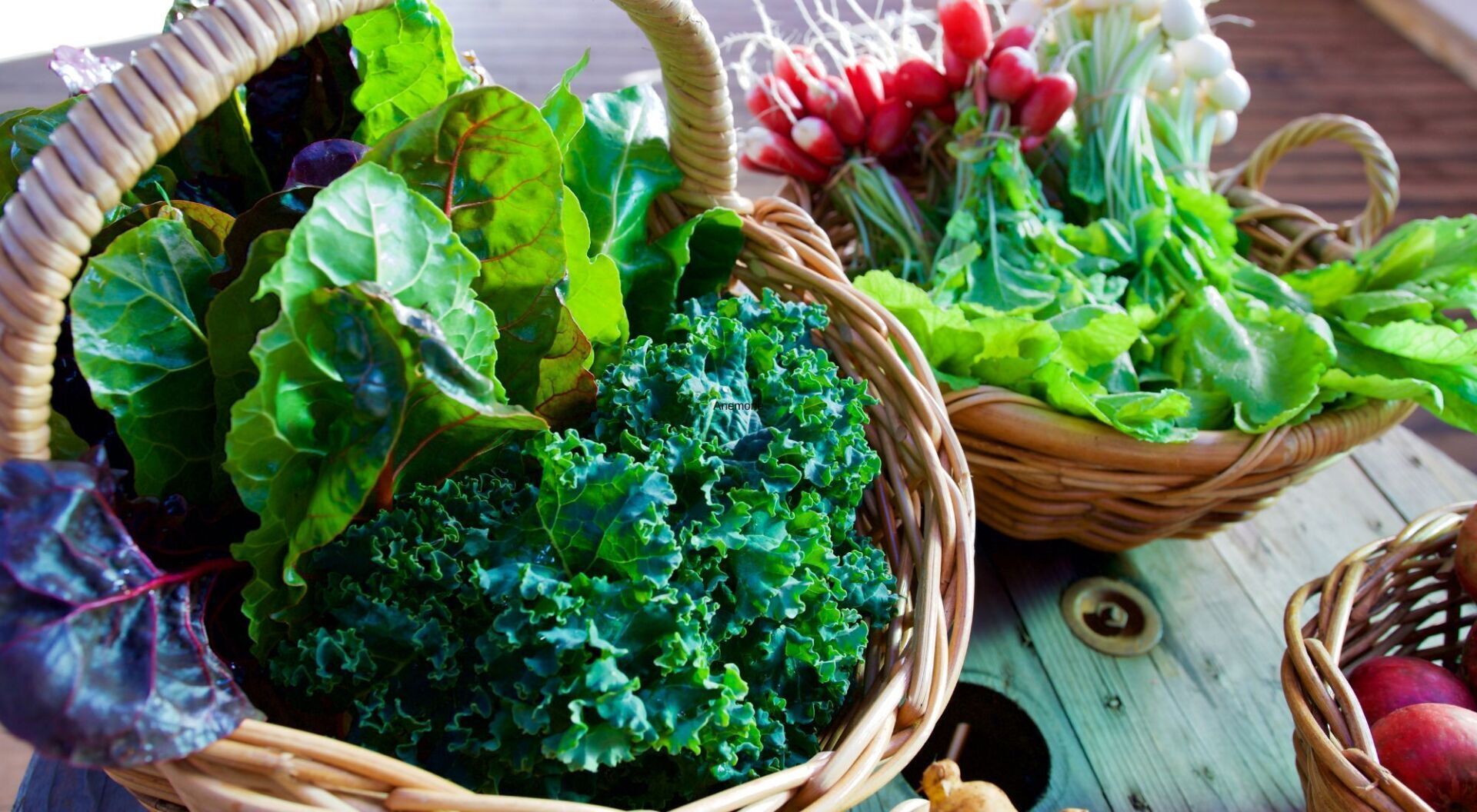 best pcos diet