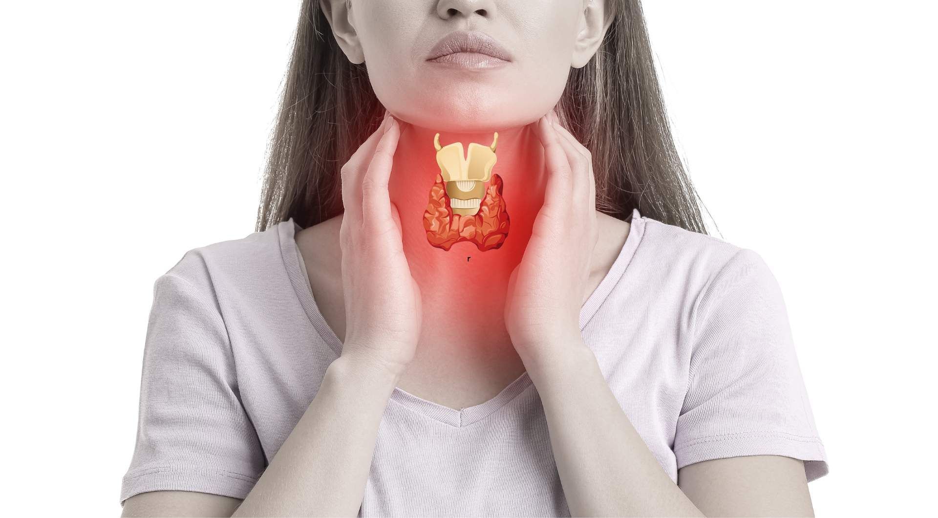 can hashimoto's cause low estrogen