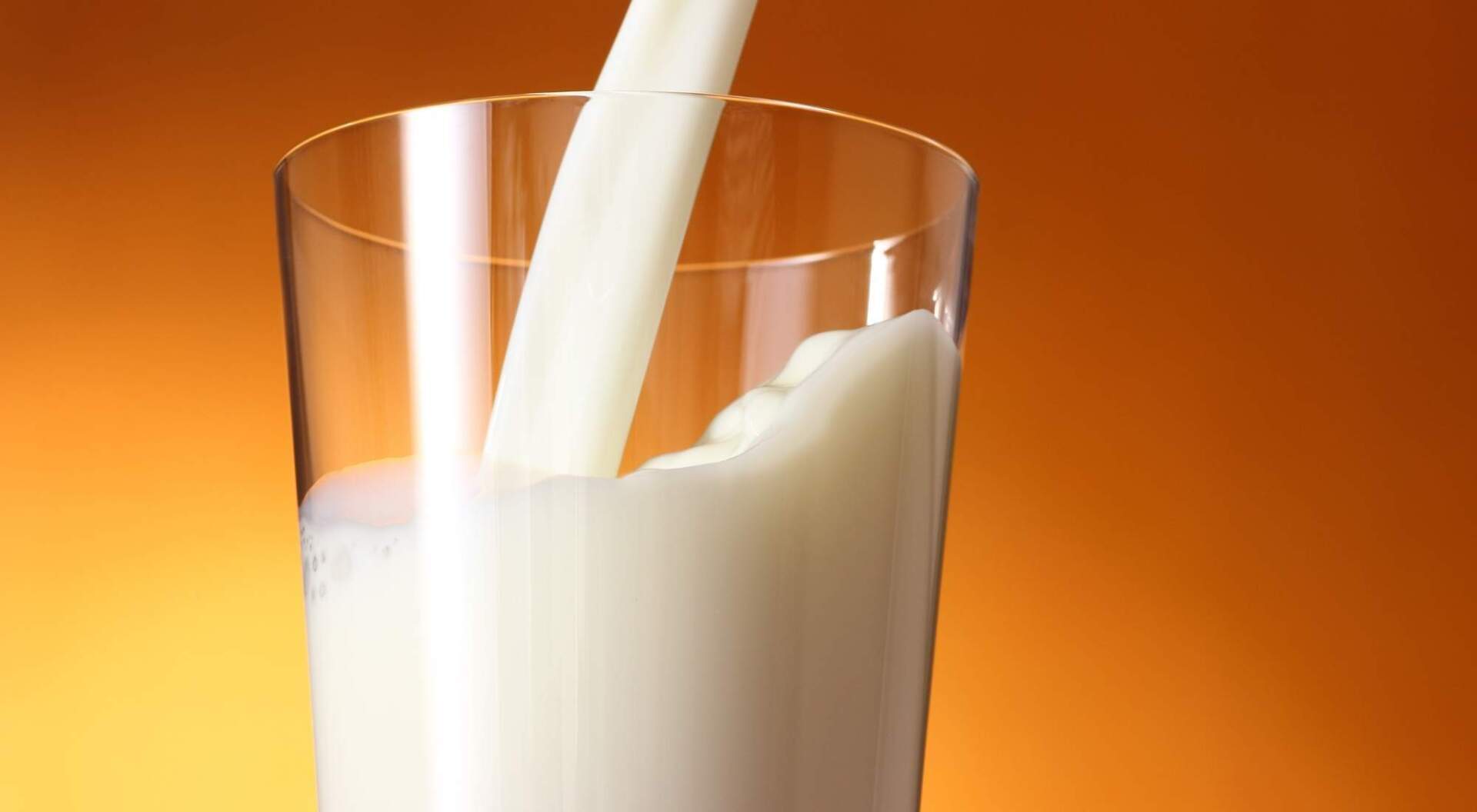 difference between lactose and dairy allergy