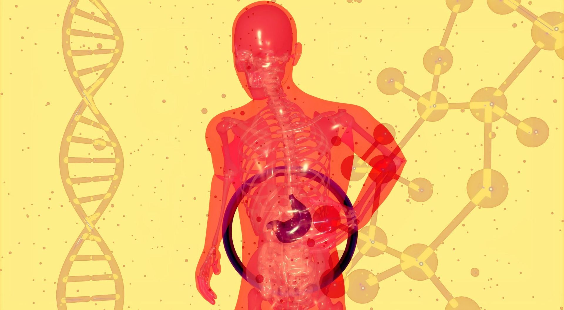 does gut health affect thyroid