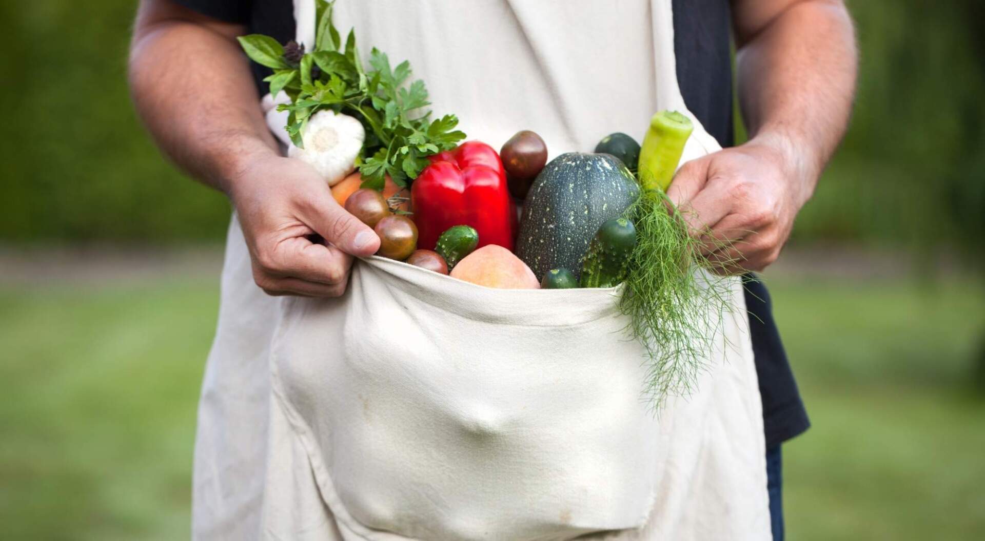 how-to-transition-to-plant-based-eating