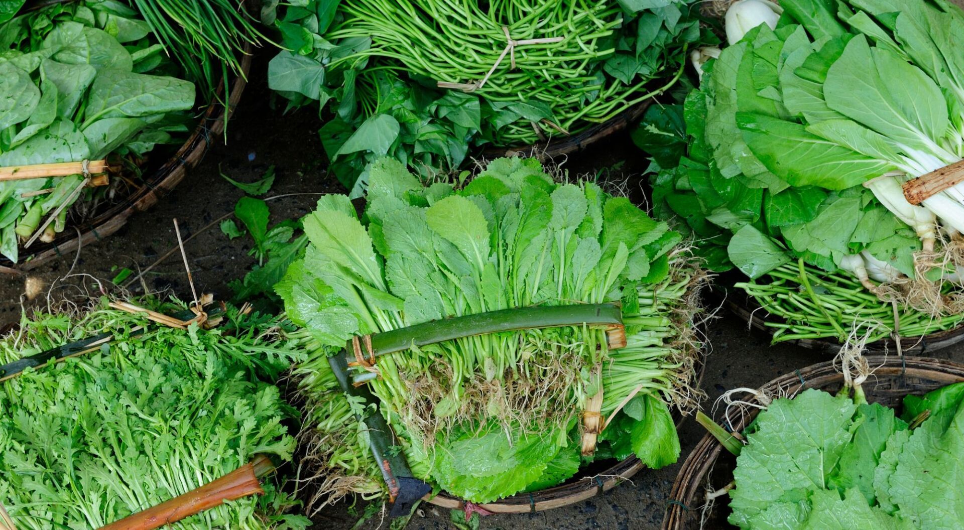 superfoods for gut health