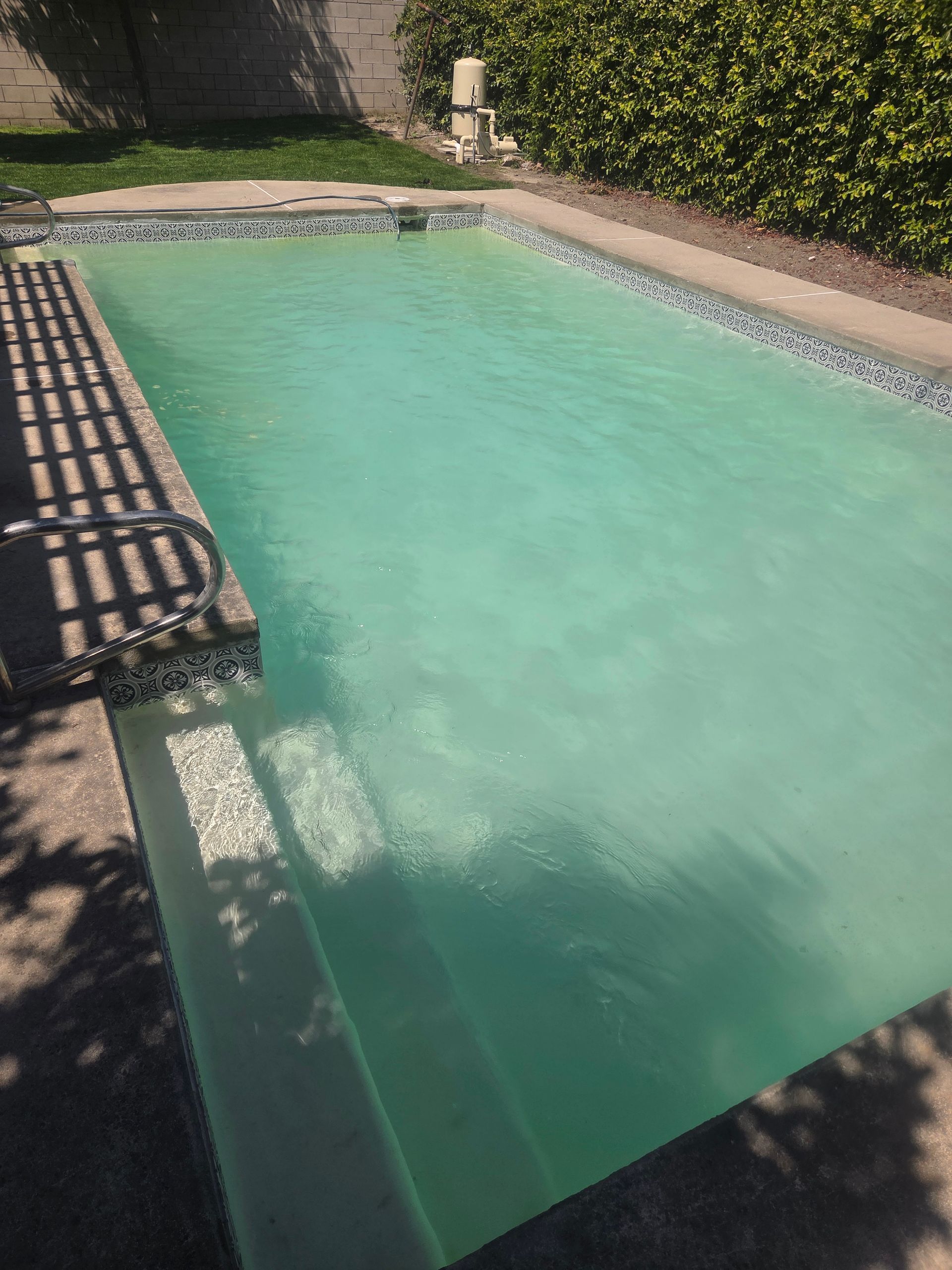 Turquoise backyard swimming pool with a dark deck and hedge along the edge in sunlight