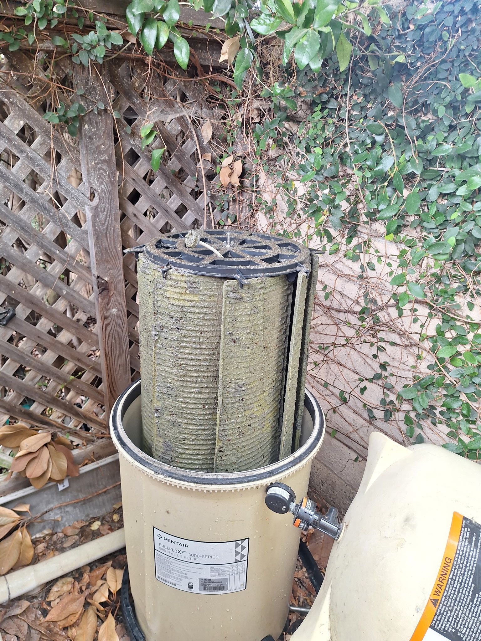 Outdoor pool filter and pump unit beside a lattice fence and leafy vines.