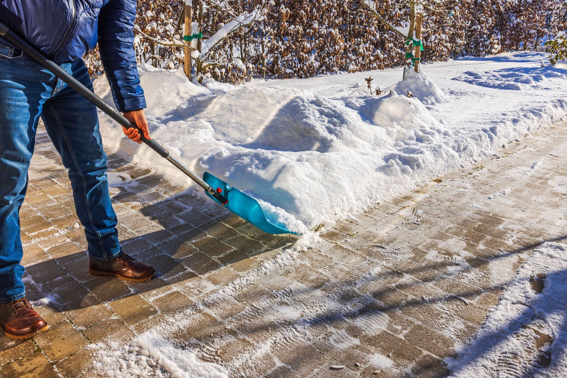 Person shoveling snow from a paved walkway with a blue shovel on a sunny winter day.