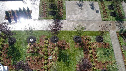 Landscaping