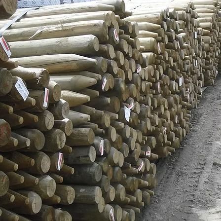 Stacks of cut wooden logs piled along a dirt road in a logging yard.