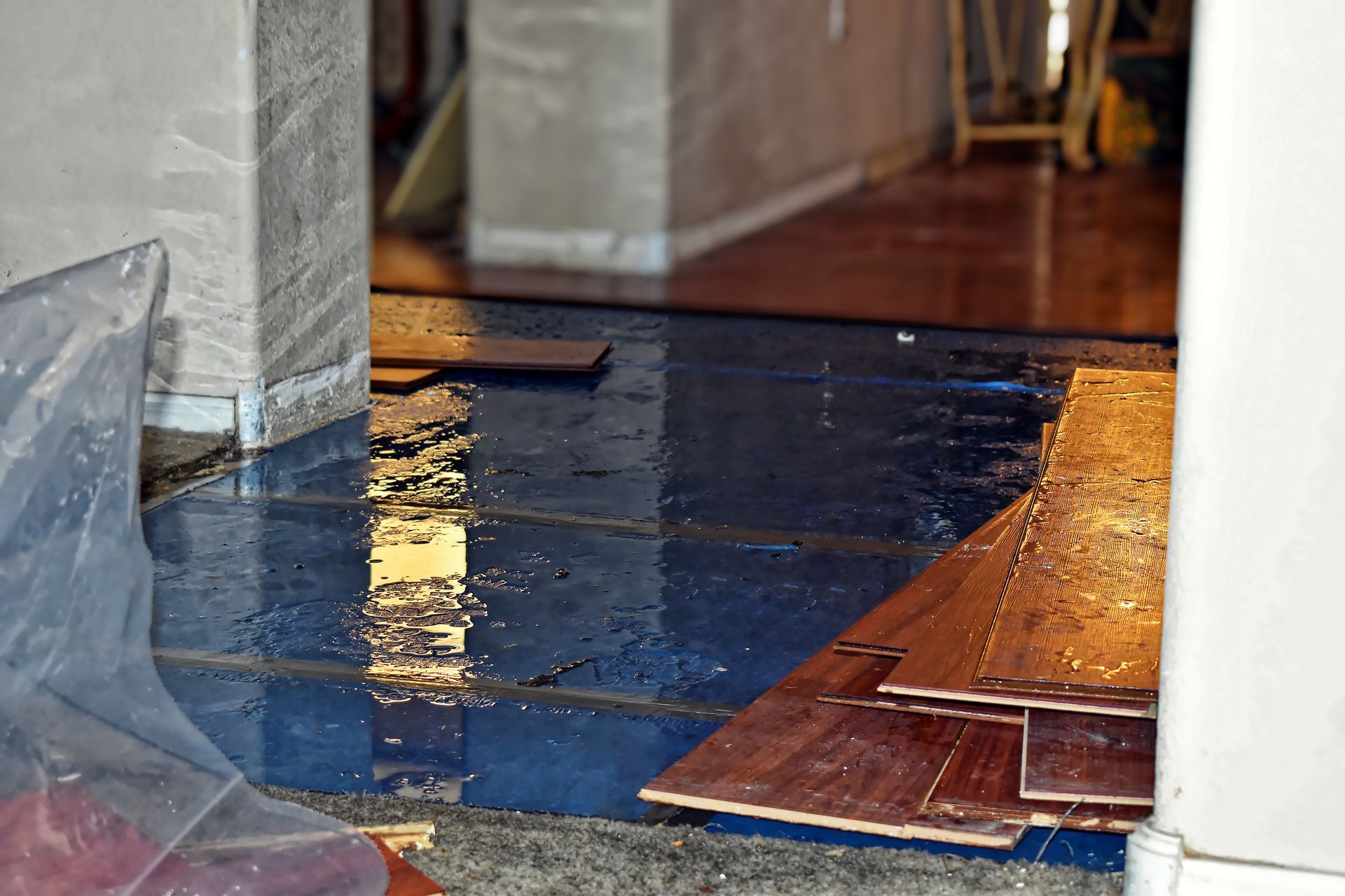 Parquet endommagé par l'eau. Une eau bleu foncé recouvre les lames et le couloir, laissant apparaître des planches de bois éparses.