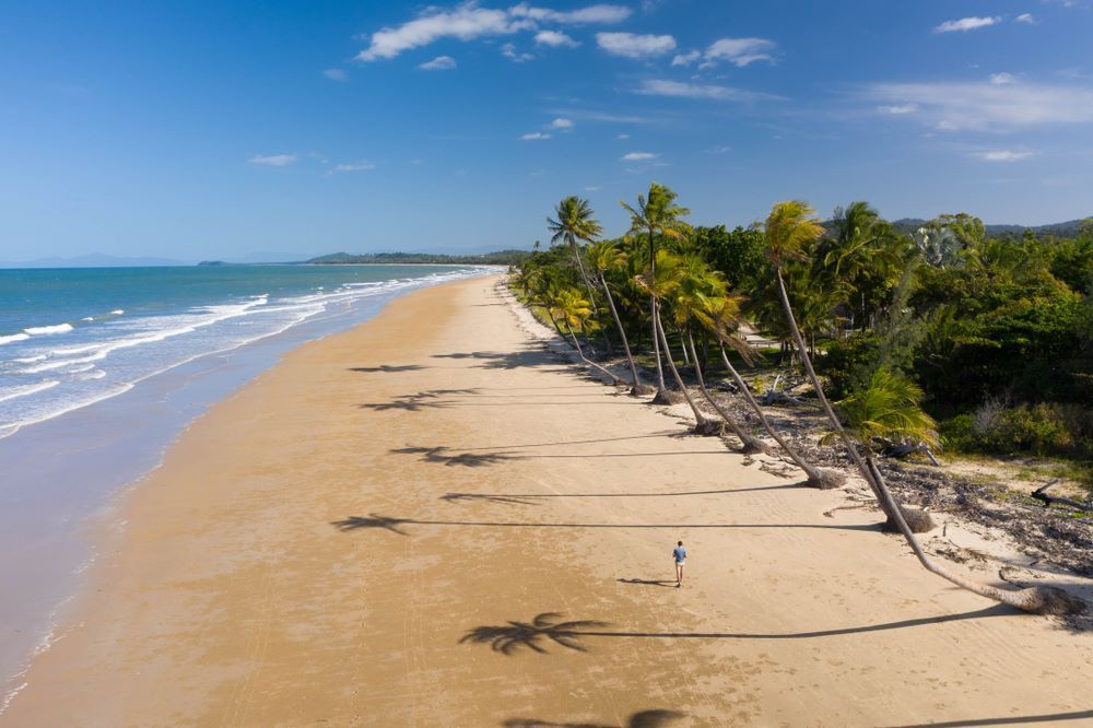 An Aerial View of a Beach With Palm Trees and a Person Standing on It — John Chisholm Flooring in Mission Beach, QLD