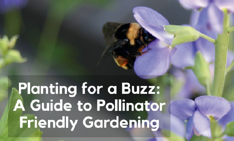 Garden Center Fort Atkinson, WI Blodgett Garden Center