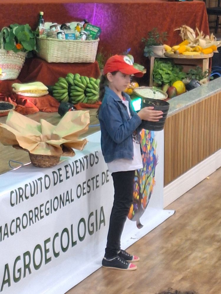 Barraca de mercado de rua com caixas de laranjas, maçãs e bananas sobre uma toalha de mesa xadrez azul.