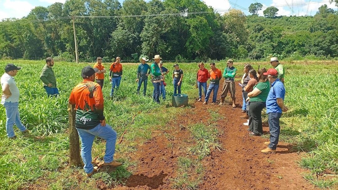 Pessoas em pé num campo verdejante, ao lado de fileiras de terra arada, observando uma demonstração de cultivo.