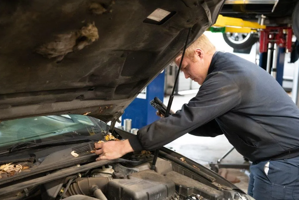 Our Certified Mechanic Diagnostics Vehicle at 808 Automotive Inc. - Hubbard Auto Repair