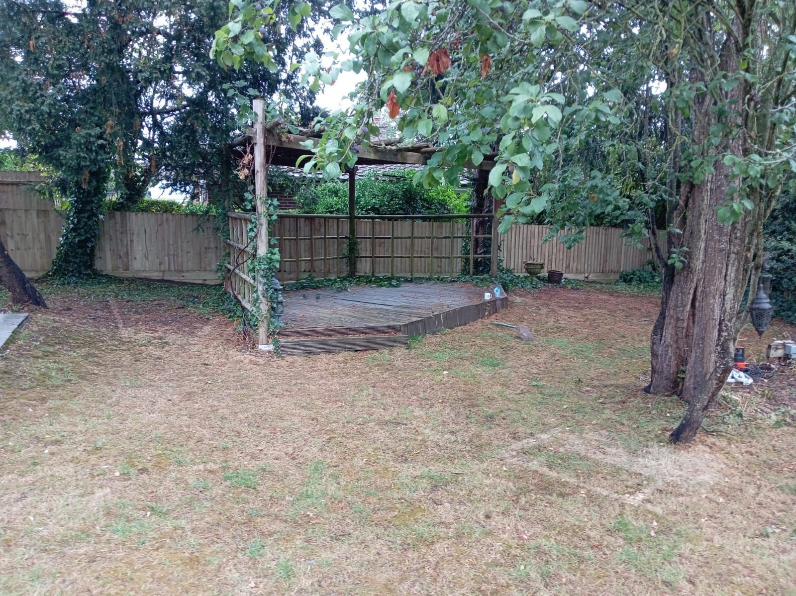 Backyard with a wooden fence, trees, and a small concrete platform beneath a hanging branch.