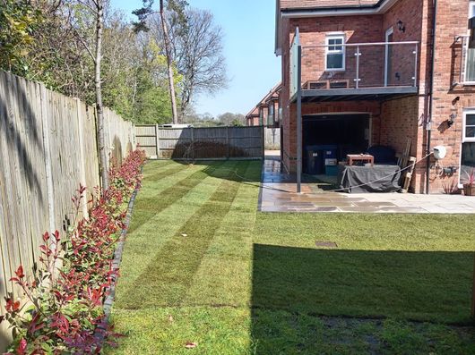 Backyard with a wooden fence, red shrubs, green lawn, and a brick house with a shaded patio.