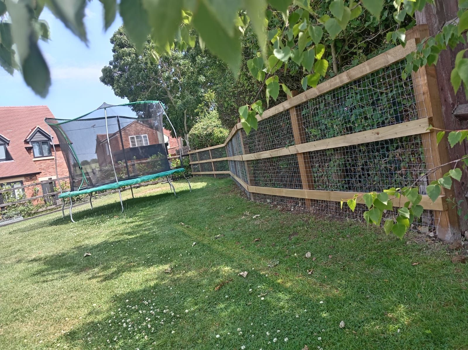 Green backyard with grass, trees, and a wooden fence beside a red brick house on a sunny day