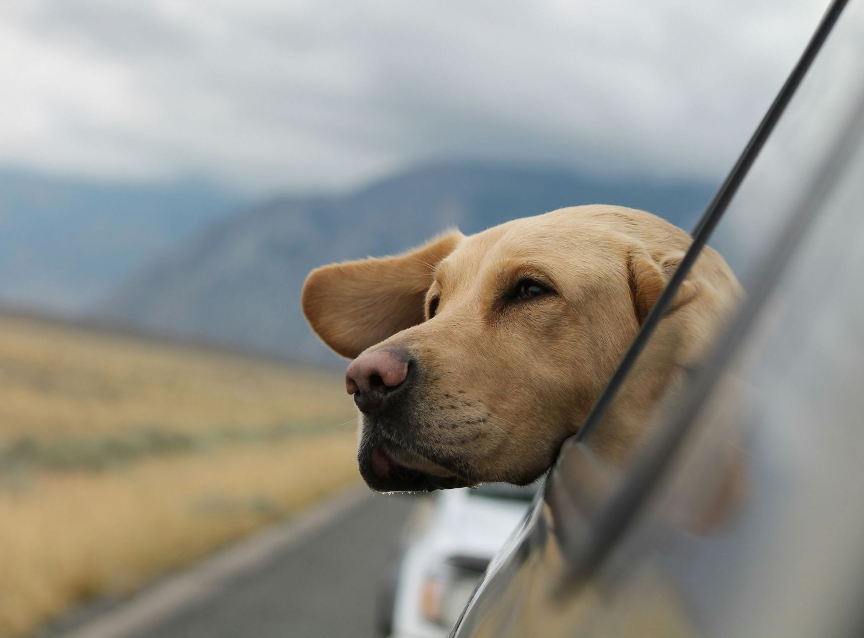 a woman looks out the window of her car at a mountain range