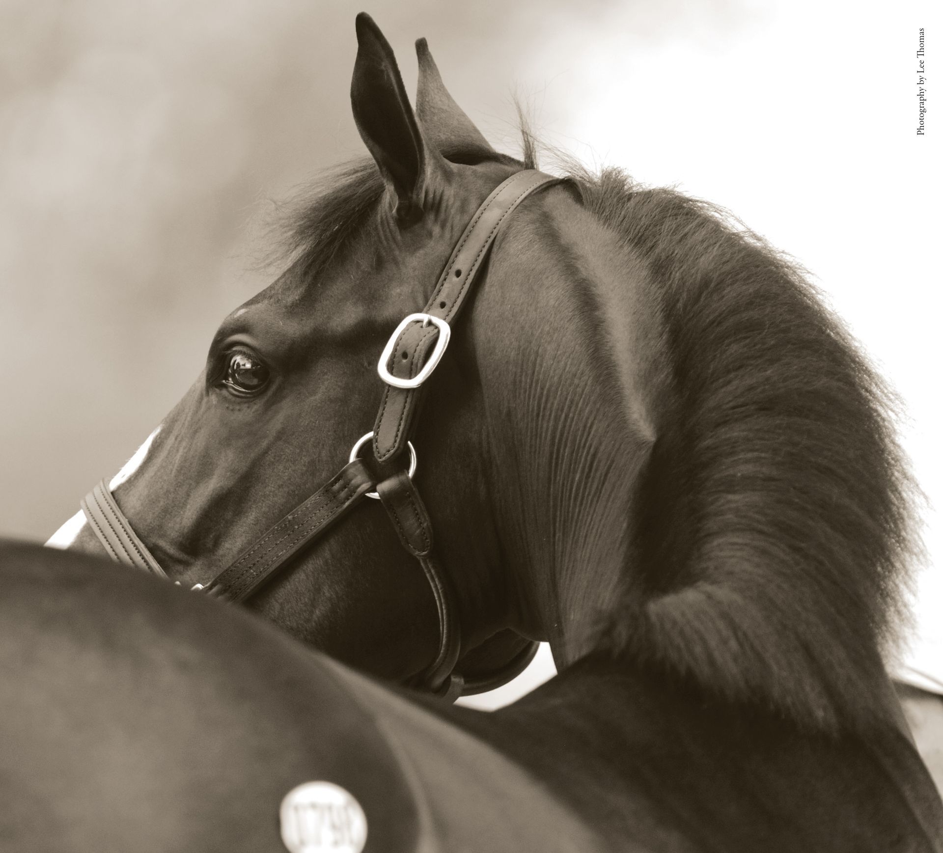 Three Chimneys Farm