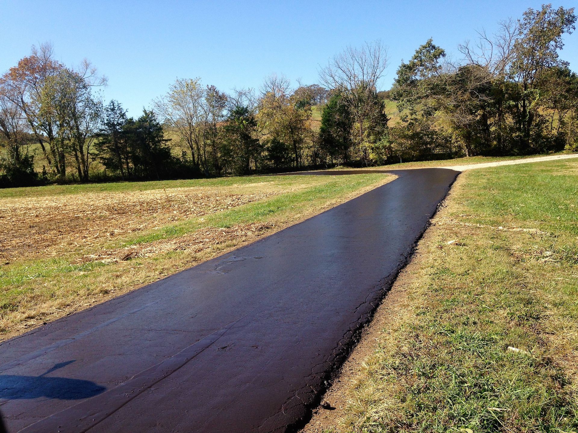 Wet black path through a grassy park with trees under a clear blue sky