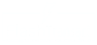 Flash Transact Logo