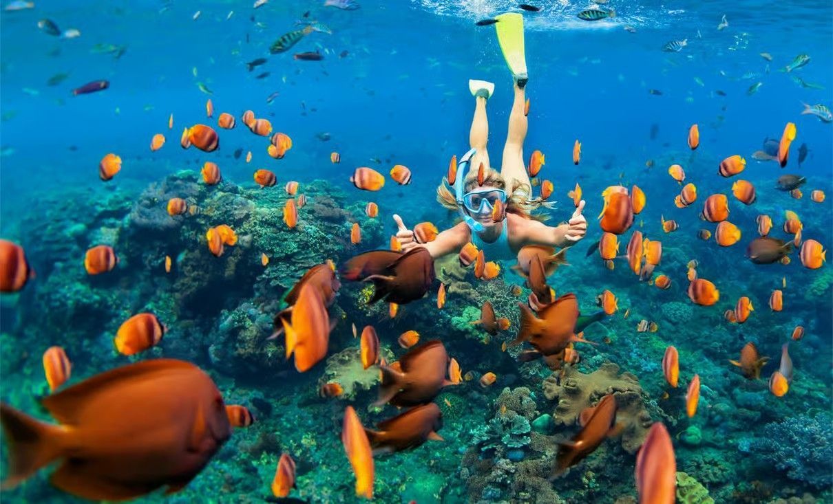 Ras Mohamed Egypt with Magic Lake, mangroves, desert landscapes and turquoise Red Sea .