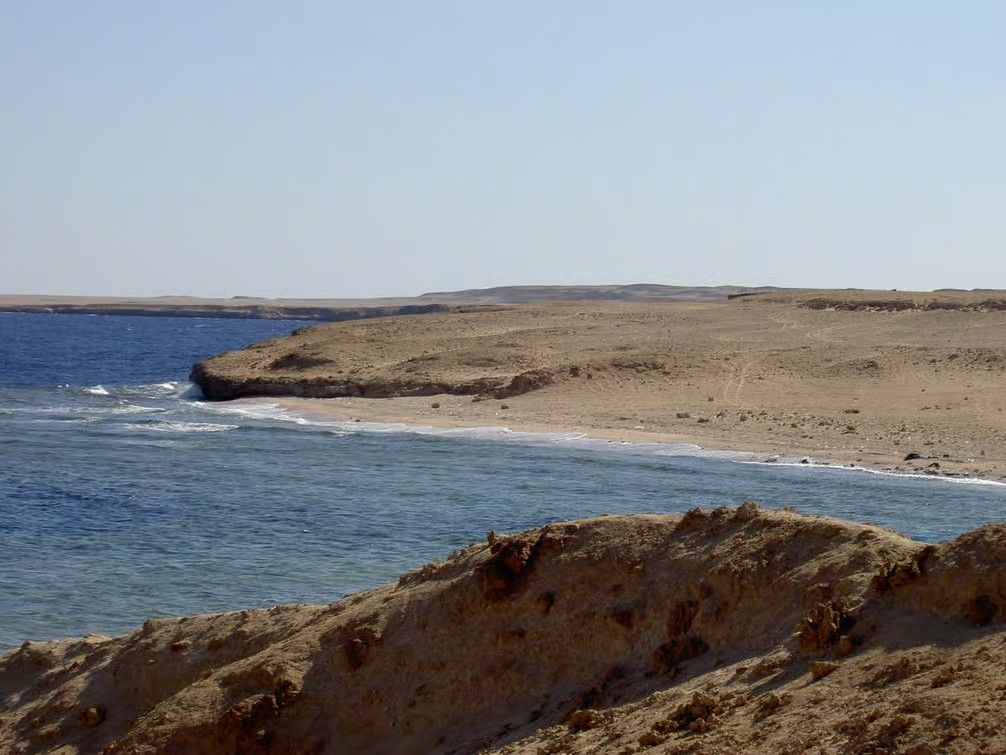 Horse experience in Hurghada with Red Sea coastline, desert scenery and beautiful Egyptian landscape
