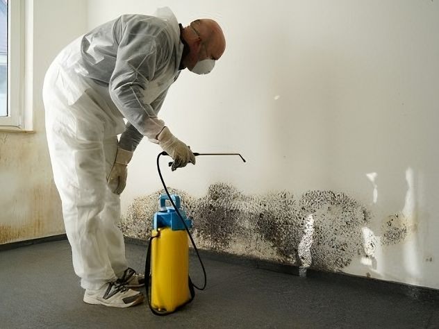 Pest control guy