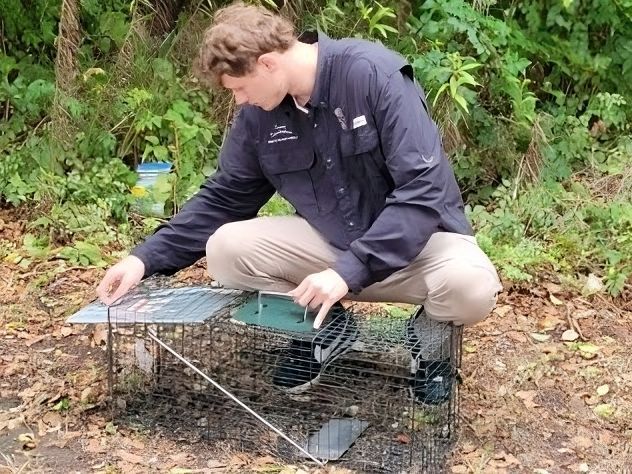 Guy rodent trap