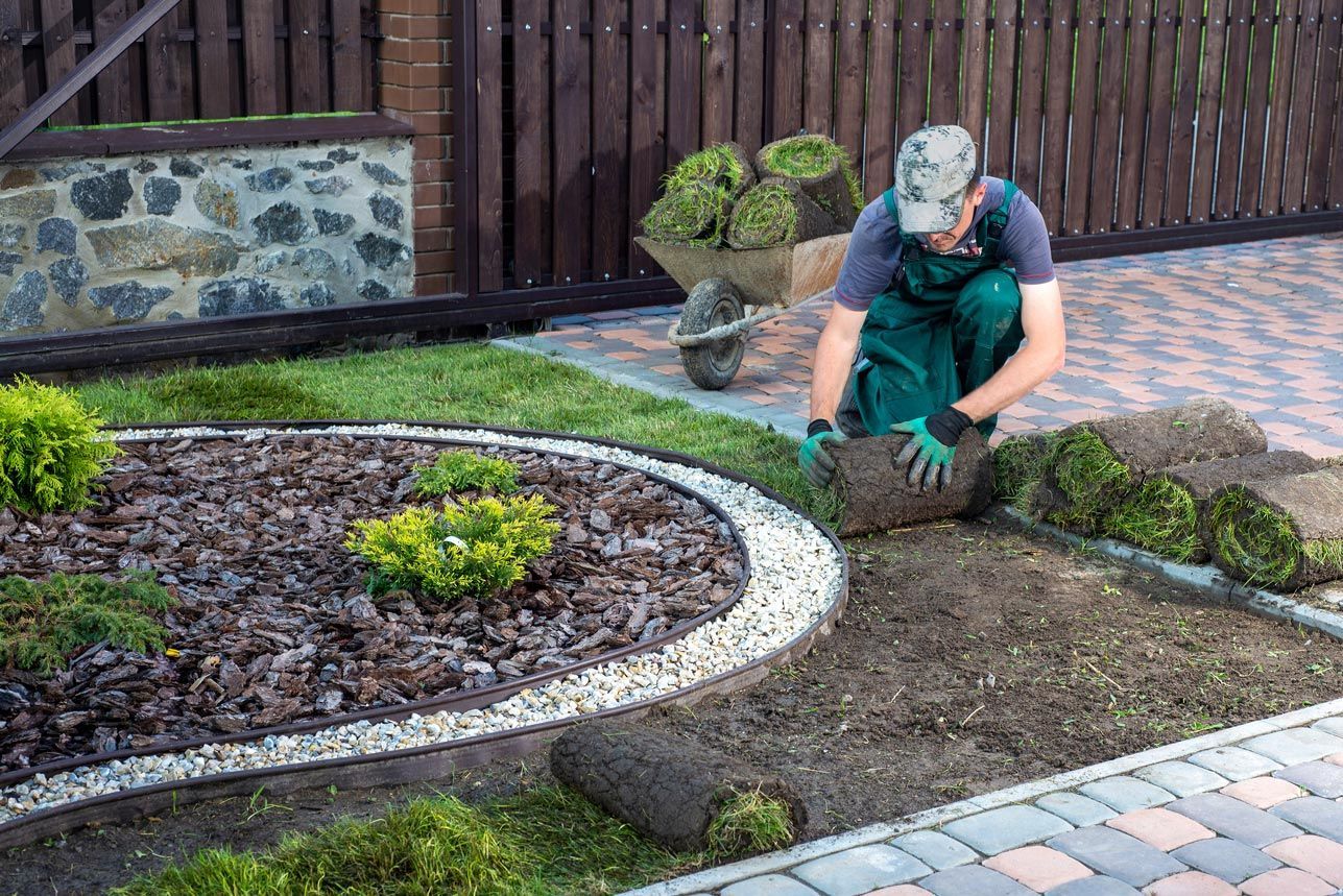 Man laying grass turf rolls for a new garden lawn.
