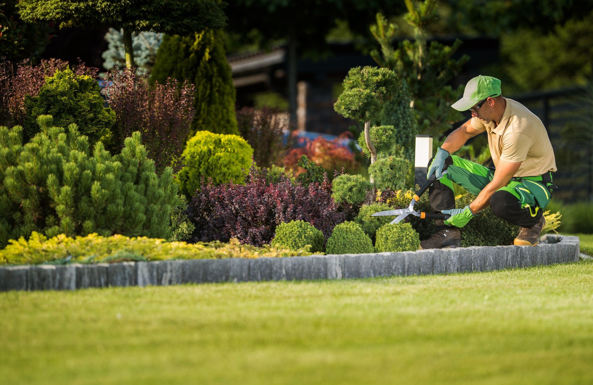 A landscaping pro trims hedges in a colorful, maintained yard. A landscaping pro trims hedges in a colorful, maintained yard.