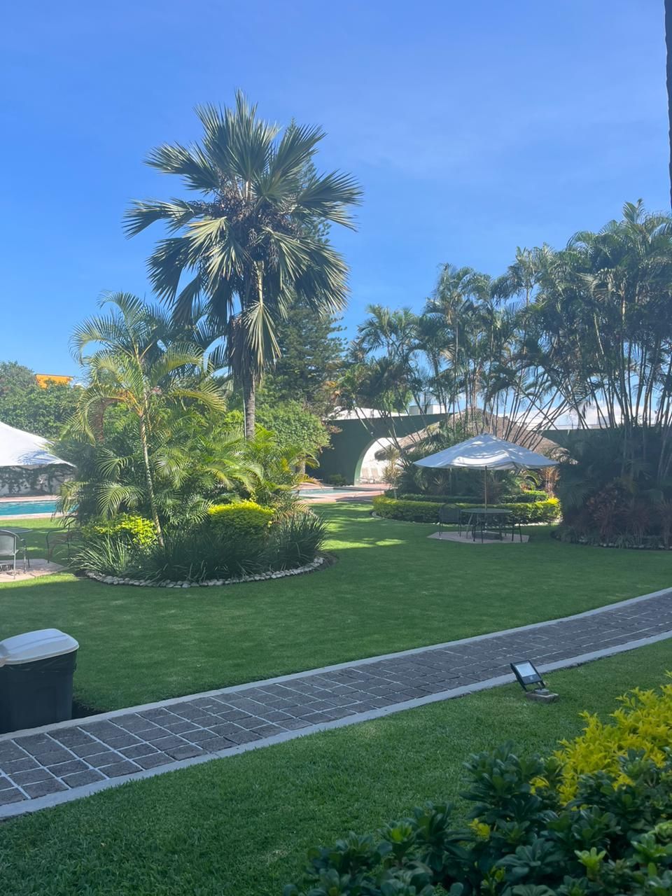 Un exuberante jardín verde con palmeras y sombrillas en HOTEL DE CUAUTLA