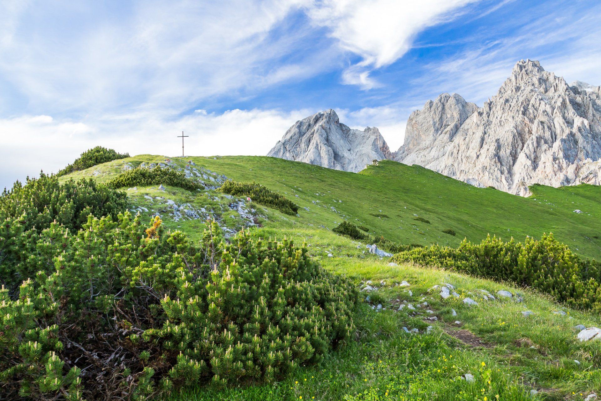 Rund um Filzmoos gibt es eine Vielzahl an Wanderungen – von gemütlichen Almwegen bis zu aussichtsreichen Bergtouren.
Gemeinsam entdecken wir diese Landschaft in einem angenehmen Tempo.