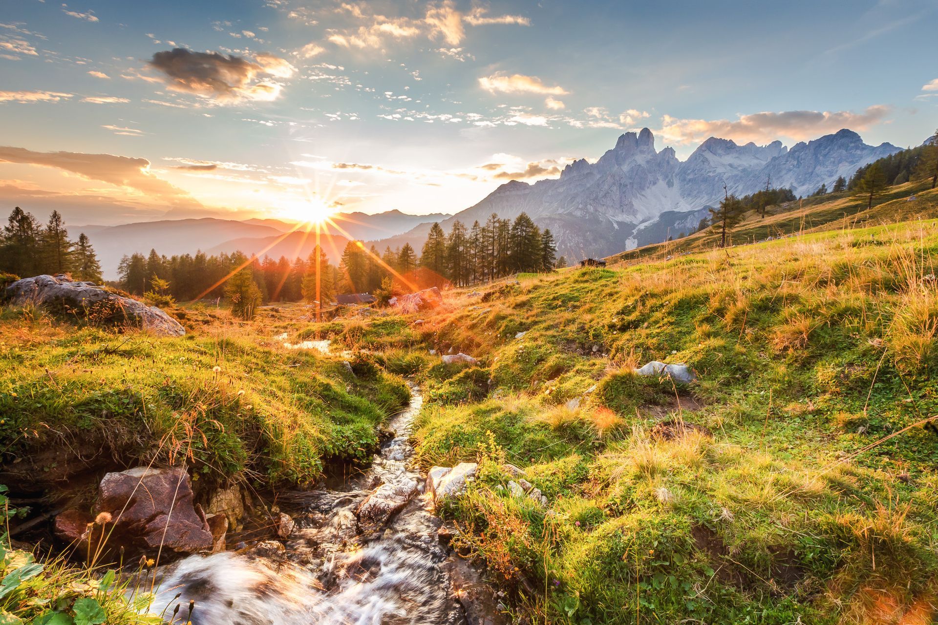 Mit mir in die Berge