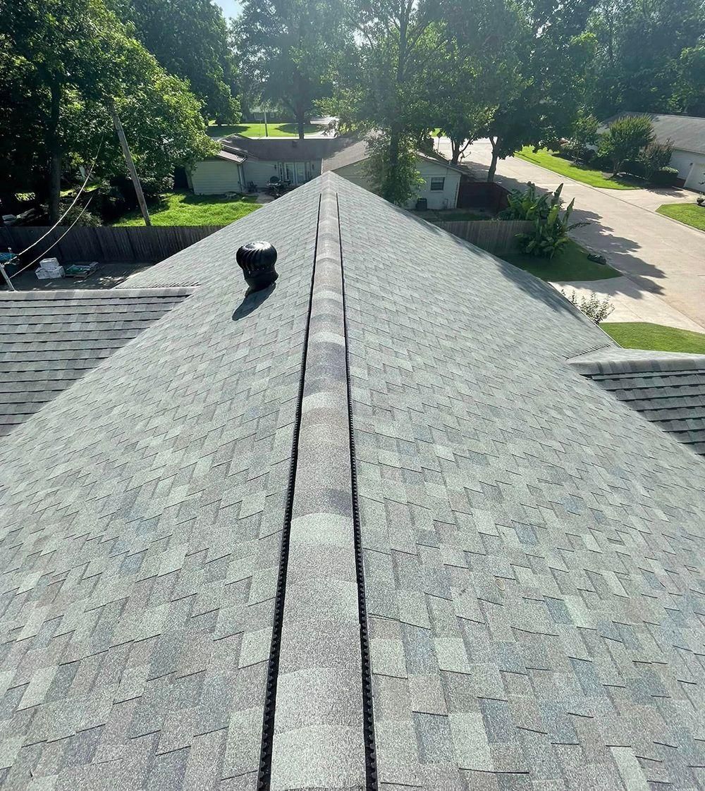 Steep shingled roof ridge with a small black cat sitting near the top, trees and driveway below.
