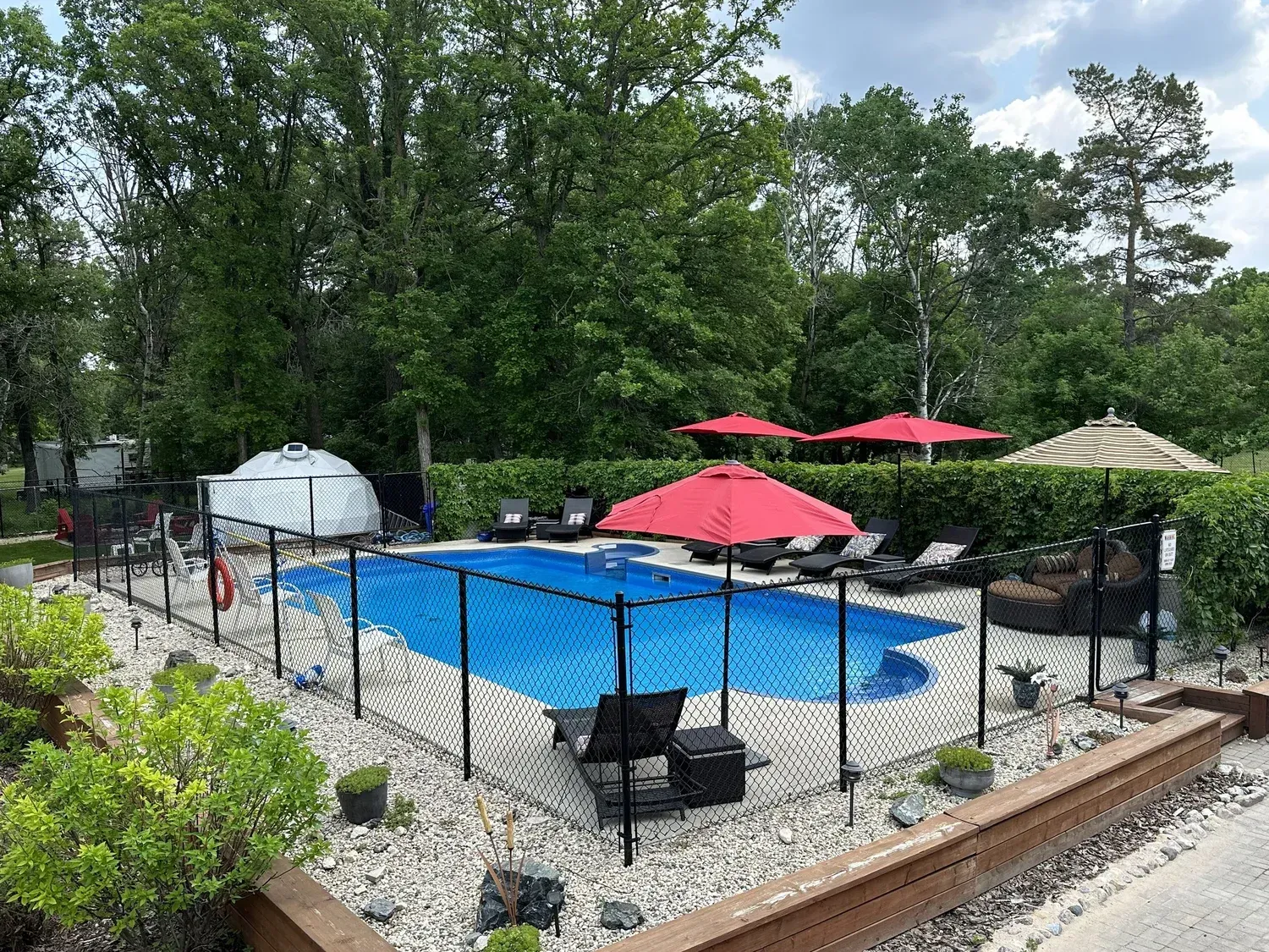 Backyard pool surrounded by black fence, red umbrellas, lounge chairs, and trees