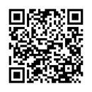 QR code to open the AVA19 Guest App