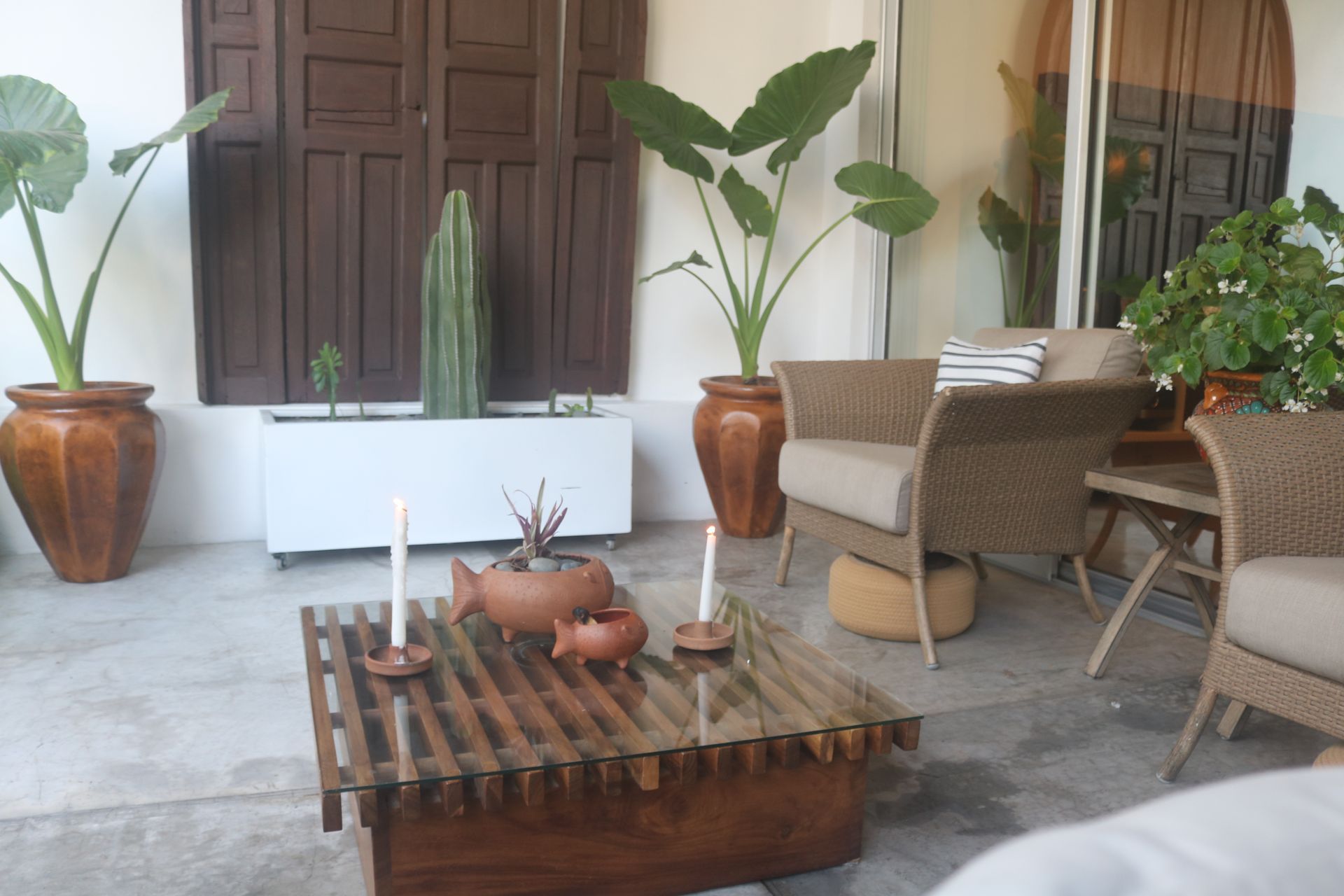 Patio plants at night at AVA19 in Puerto Vallarta