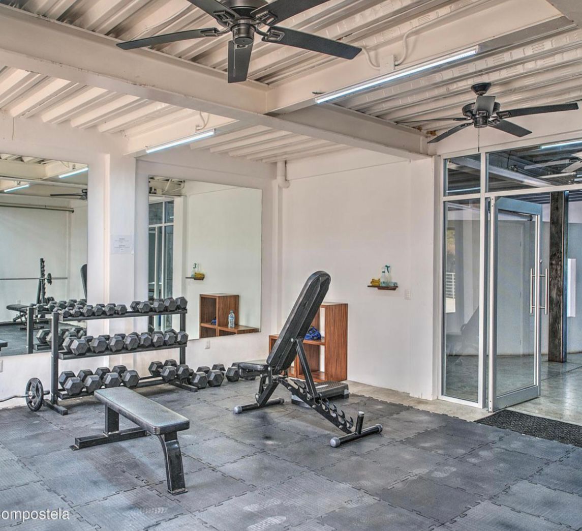 Modern gym with dumbbells, bench, and weight bench on black rubber flooring.