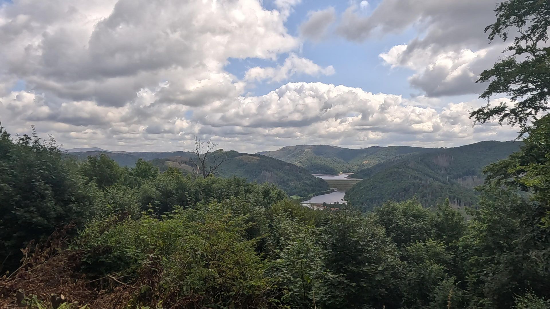 Bismarckturm im Harz