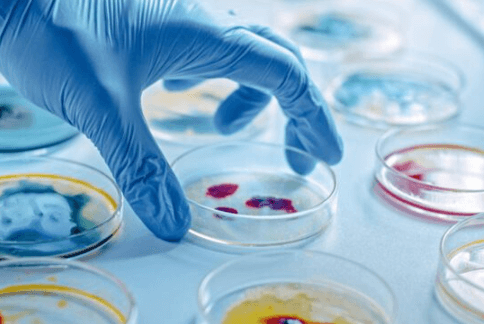 LABORATORIO CLÍNICO ADQ - Microbiología
