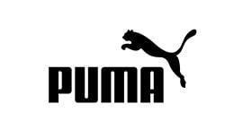 GRUPO SANTA MARÍA - Puma