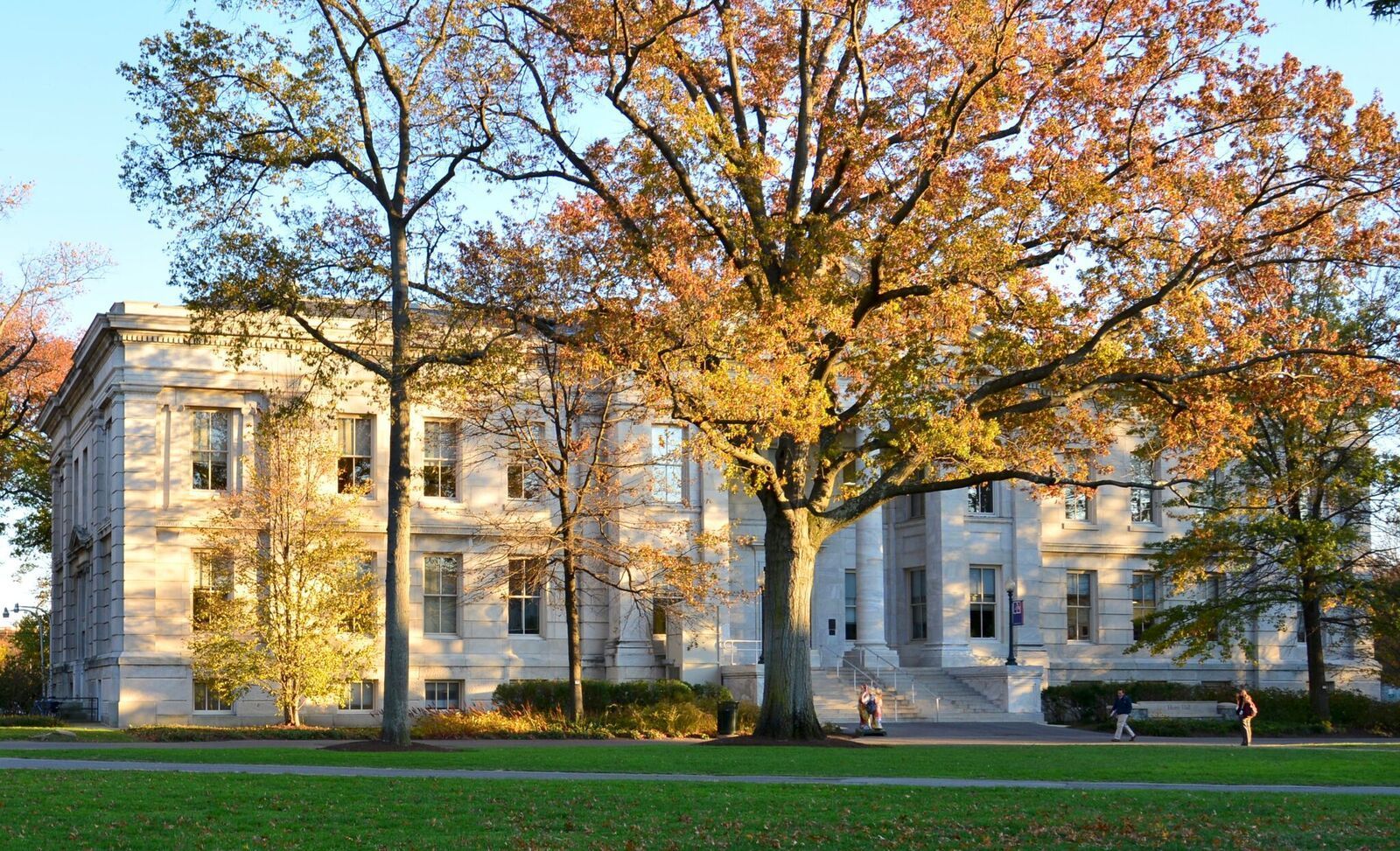 American University