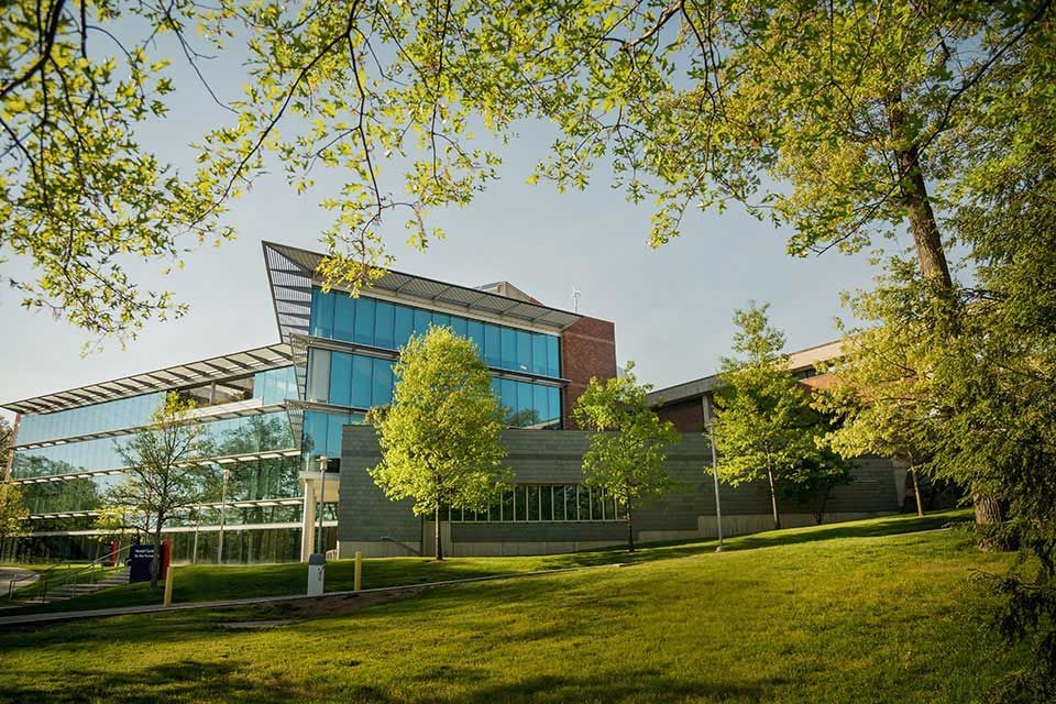 Brandeis University