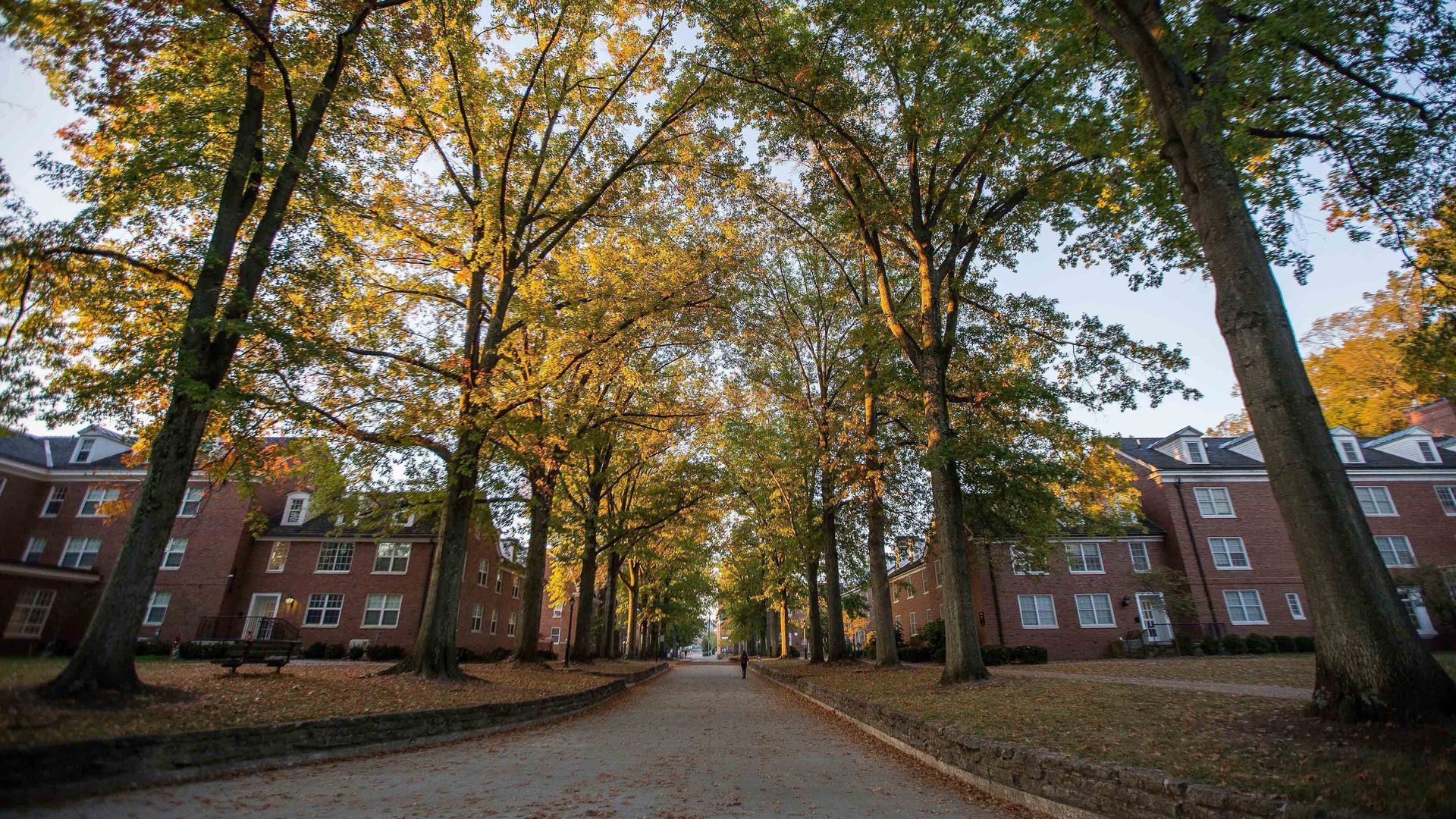 Ohio University