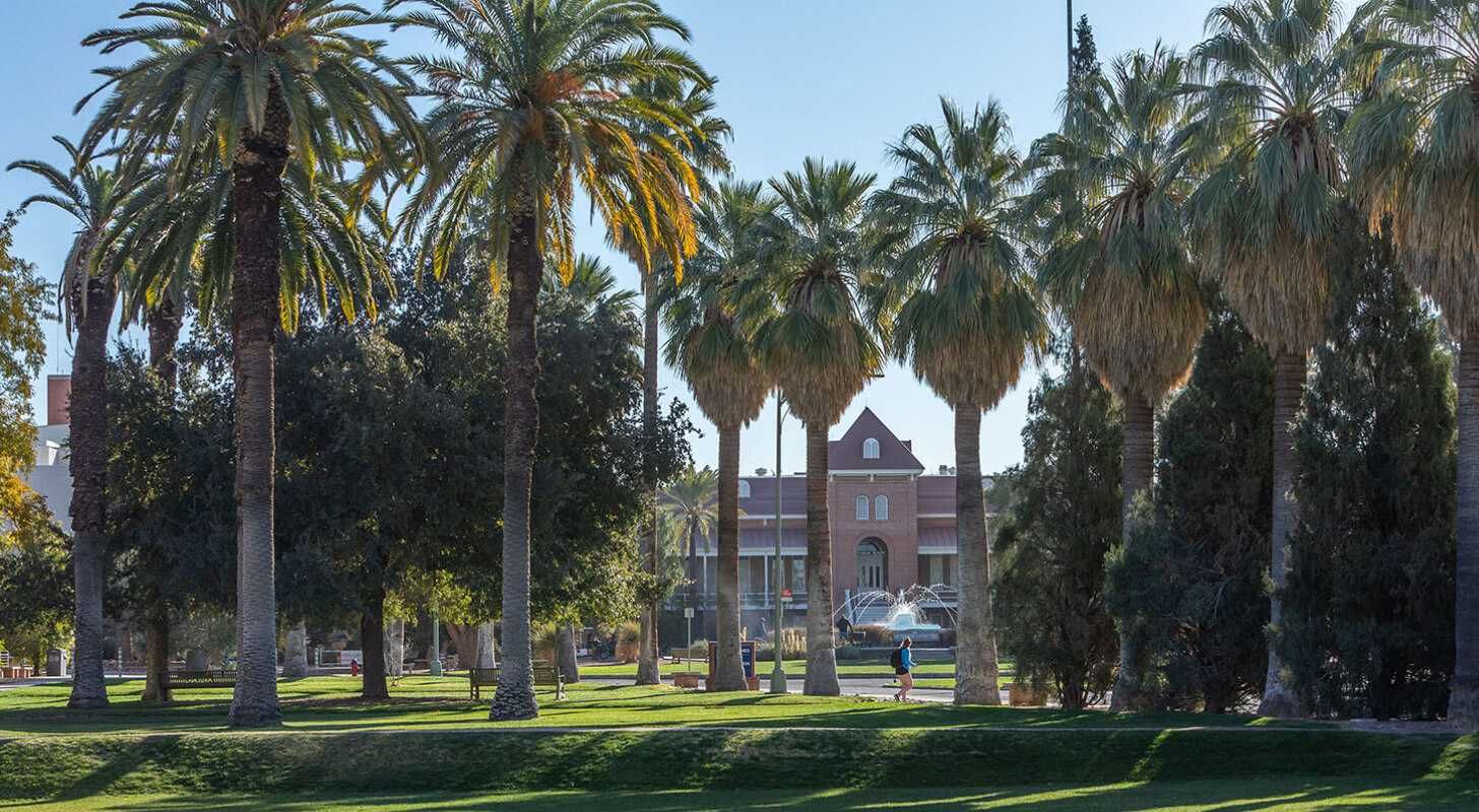 The University of Arizona