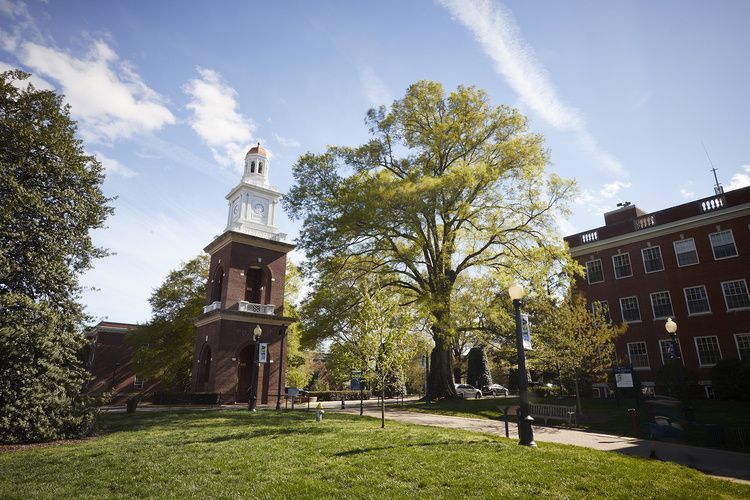 University of Mary Washington